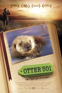 Otter 501 webStory for Sea Studios Foundation.